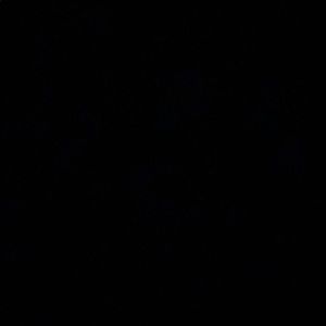 Meet your Posher, Nyessa